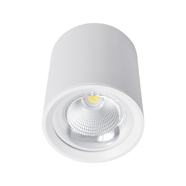 LED NADGRADNA SVJETILJKA 10W 230V 4000K IP44 BIJELA